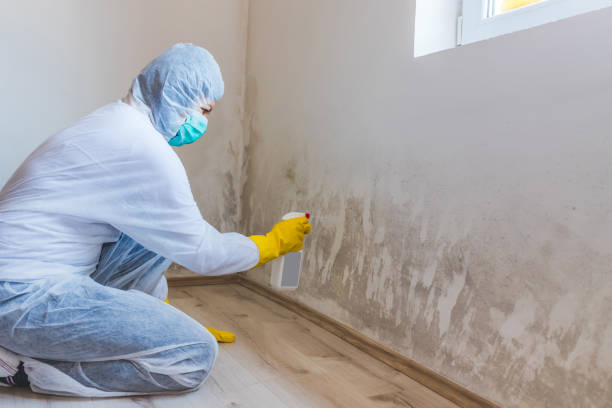 Crawl Space Mold Removal in Weston, WI