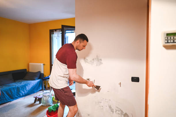 Best Black Mold Removal  in Weston, WI