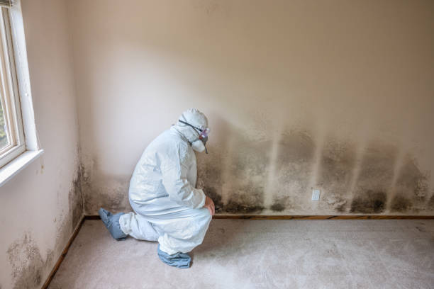 Water Damage Restoration in Weston, WI